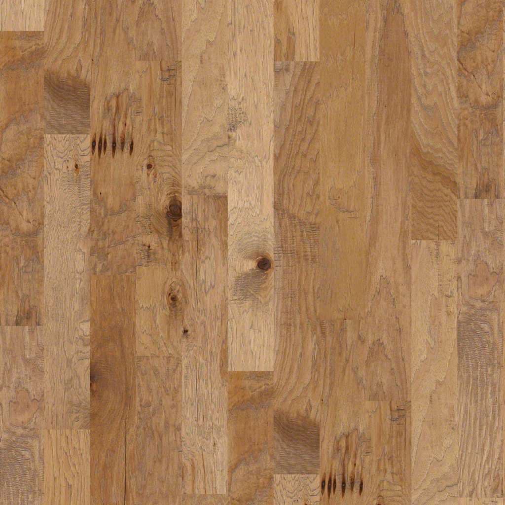 Sequoia Hickory 5 — Bravo — additional view 2